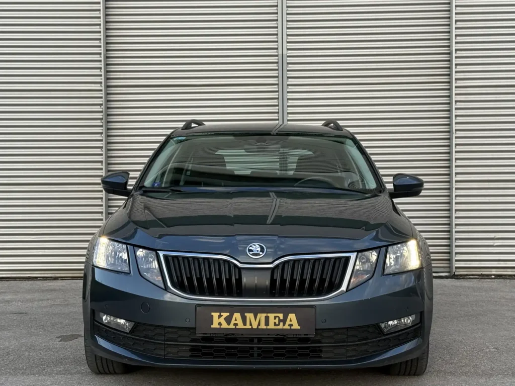 rent-a-car-sarajevo-skoda-octavia-automatic-kamea (4)